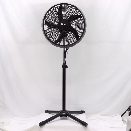 Basic Black 18: 1 Black X